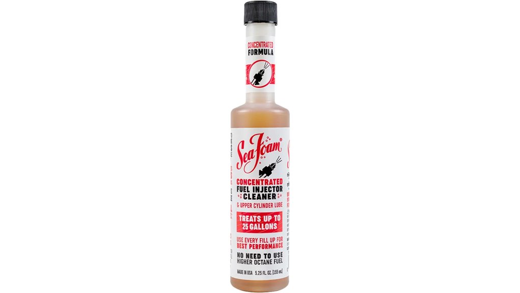 fuel injector cleaner solution
