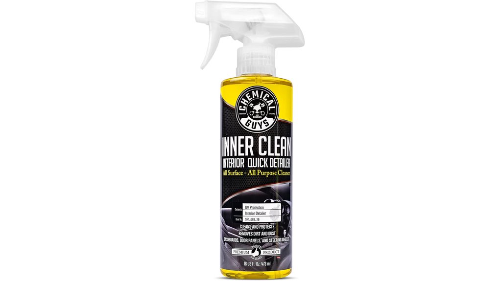 interior cleaning and protection
